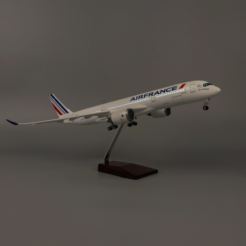 47cm Air France A350 Model Air - đánh giá và giá Model Kit Manual